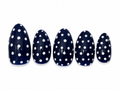 Polka Party